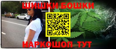 индика Обь